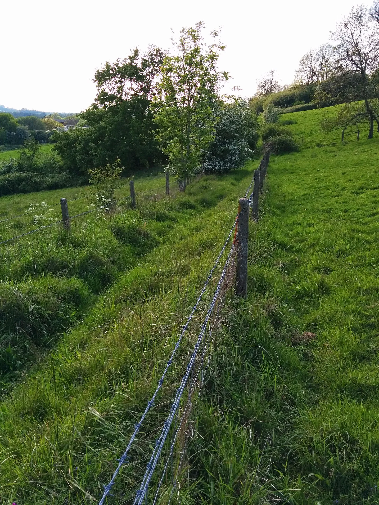 Borough Hill